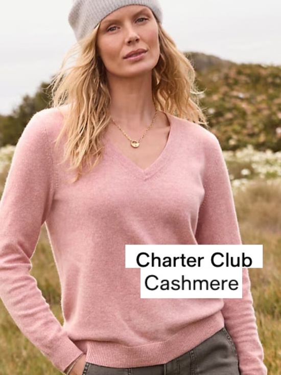 Charter Club Sweaters - Charter Club Cashmere V neck sweater, S, LG1395